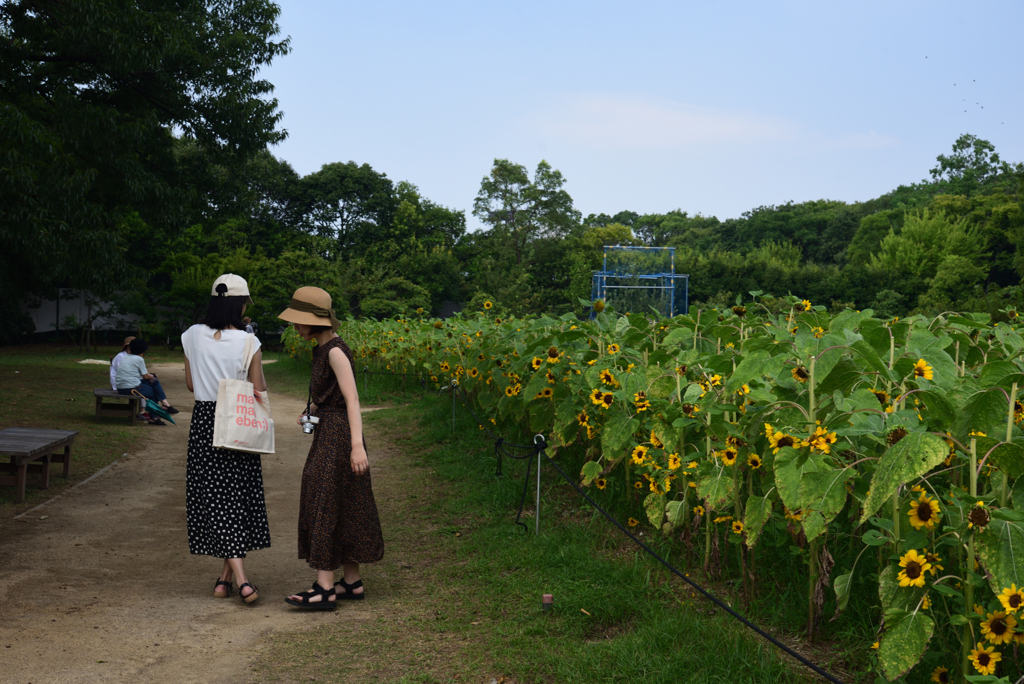 190818長居植物園12
