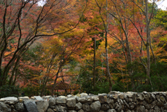 191126b高山寺18