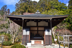250121a龍安寺21