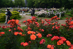220515b靭公園11PrincessMichiko