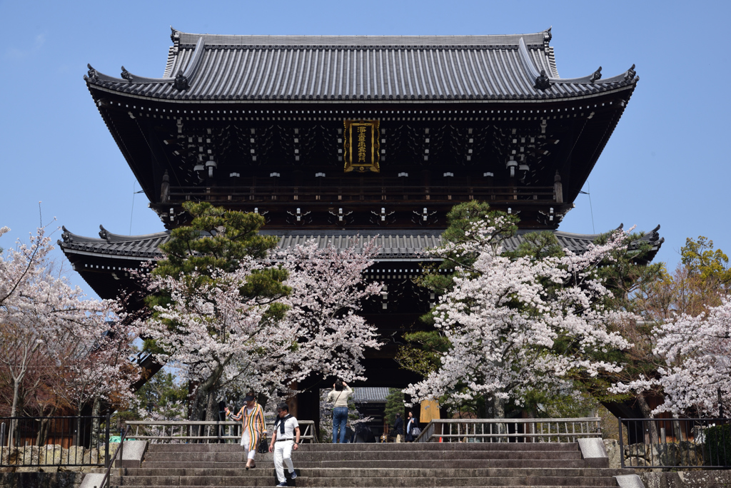 190406b金戒光明寺63