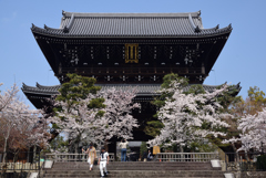 190406b金戒光明寺63