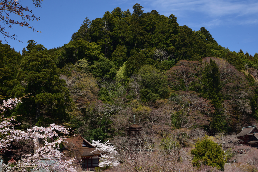 190412a談山神社44