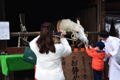 180108a上賀茂神社02