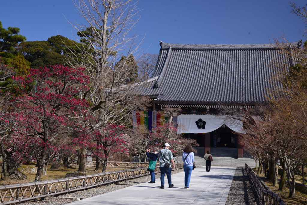 250314d智積院14