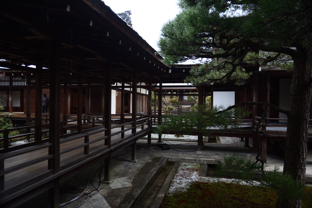 210112仁和寺07