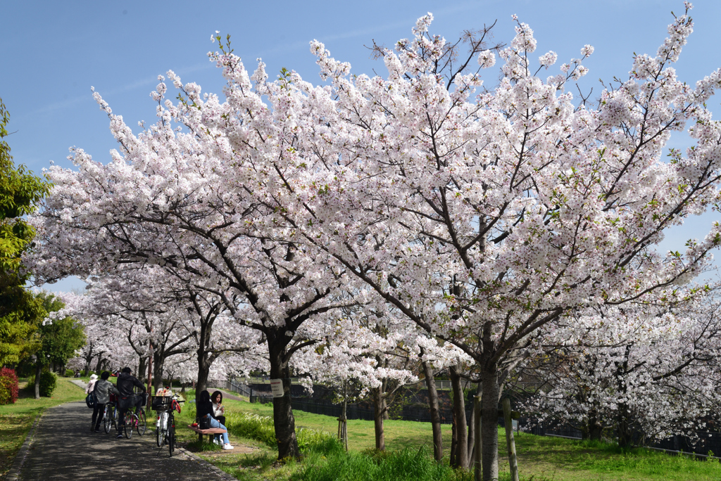 210401d住之江公園11