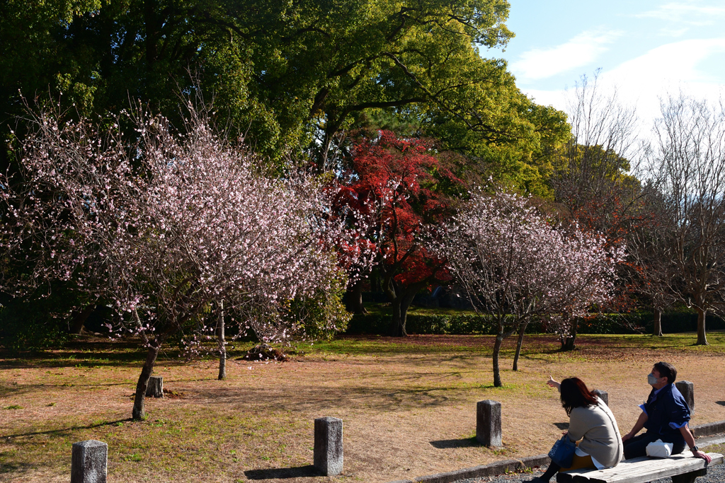 231214京都御苑38