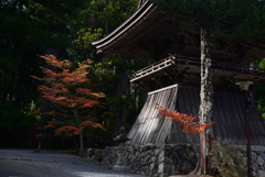 211103高野山58