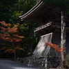 211103高野山58