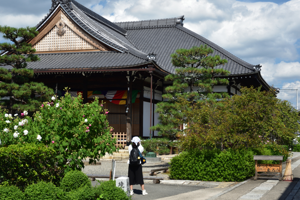 190926a妙蓮寺27