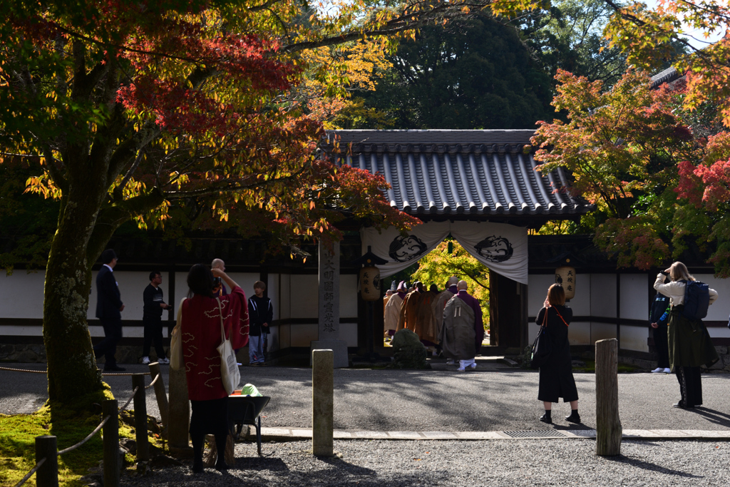 241112b南禅寺24