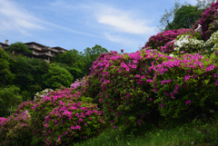 190503c蹴上浄水場11