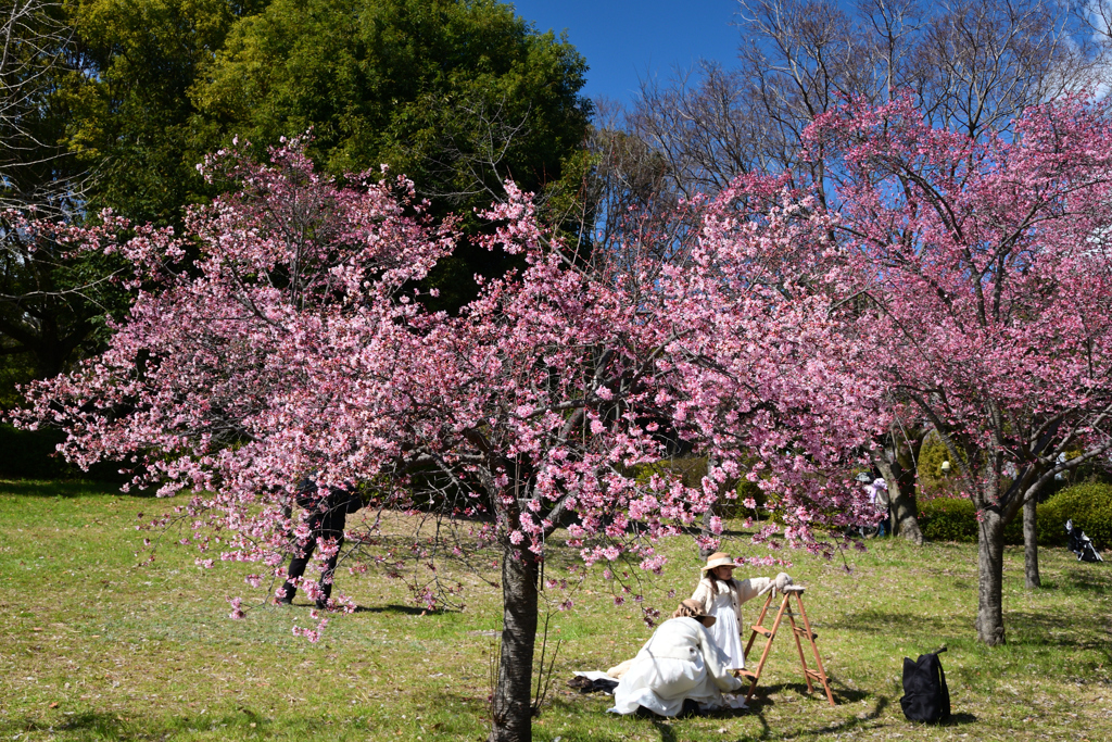 240302鶴見緑地39