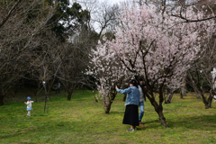 220325b京都植物園54