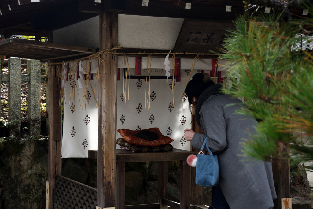 180108b今宮神社27+