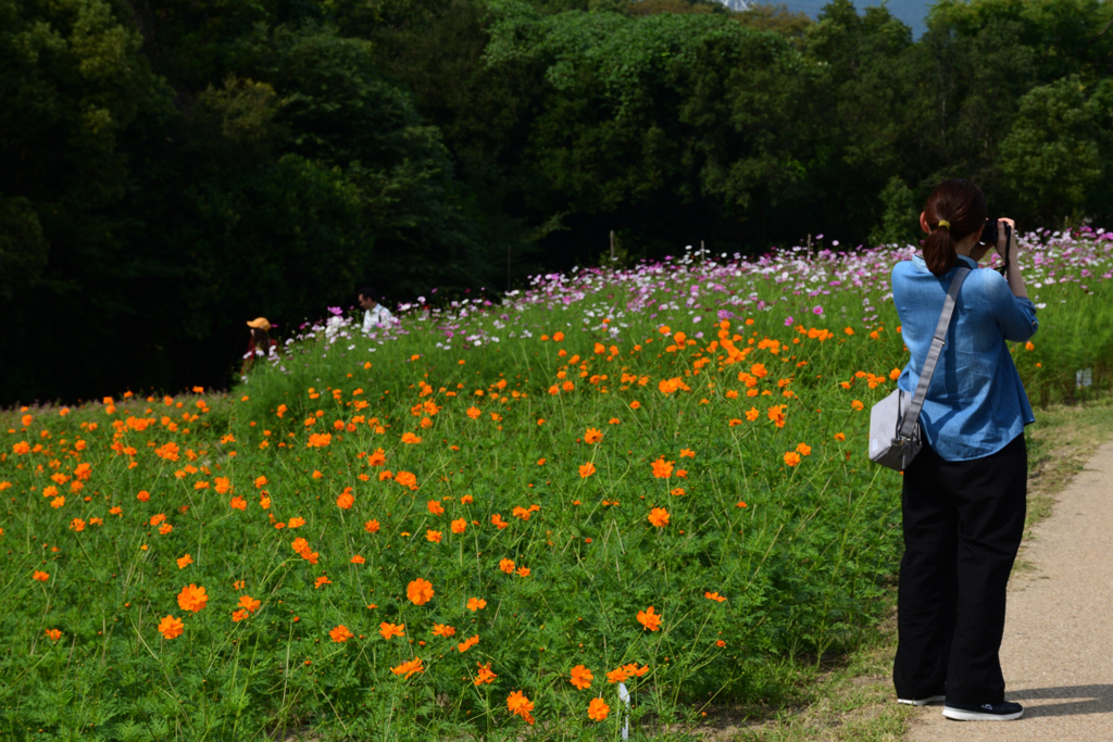 221001万博公園44