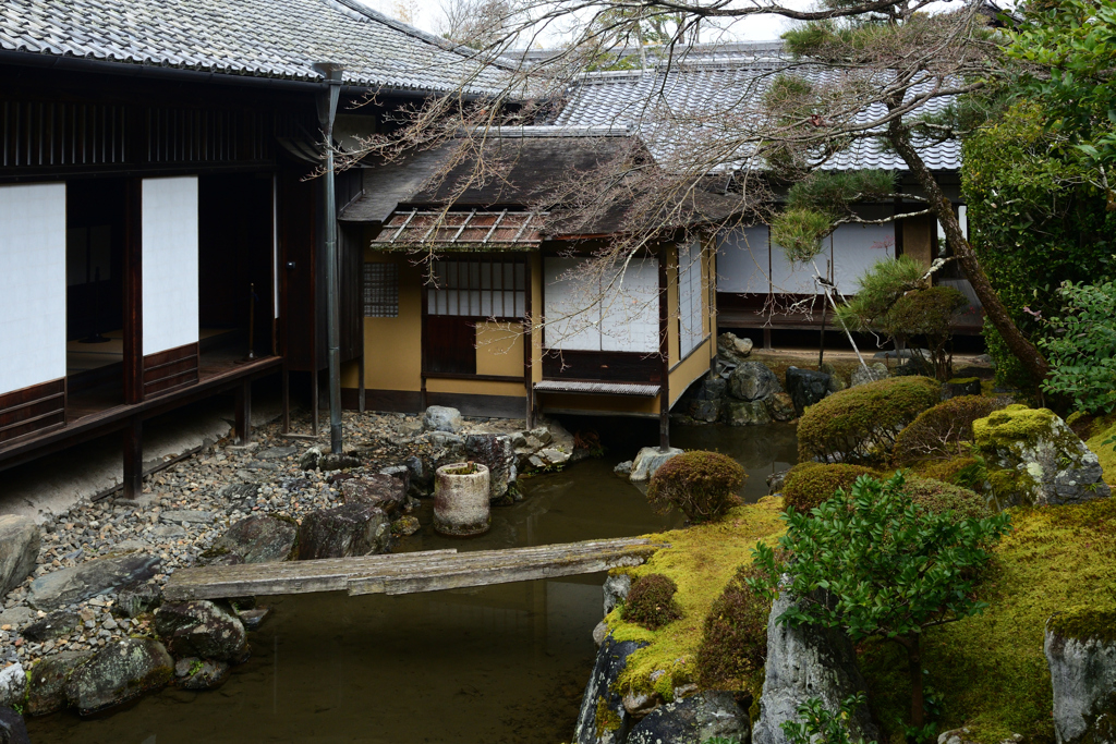 230223a醍醐寺21