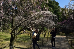 180314d意賀美神社56+