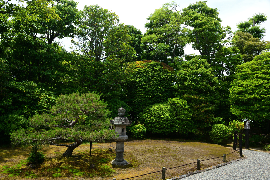 250606妙心寺退蔵院13