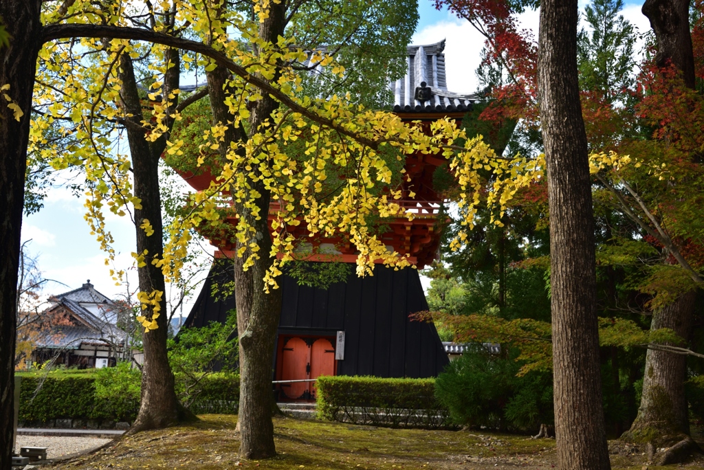 181115a仁和寺39