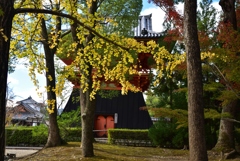 181115a仁和寺39