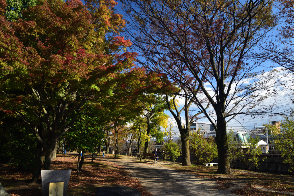 211111c梅小路公園11