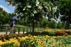 180803馬見丘陵21+