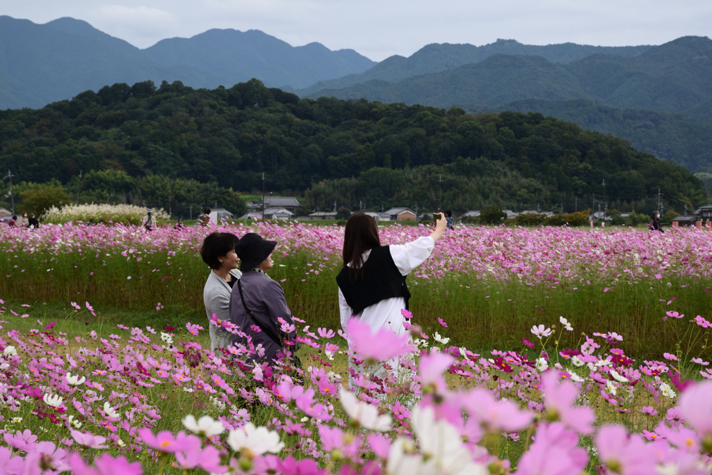 211018a藤原宮跡40