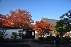 181127h妙覚寺74