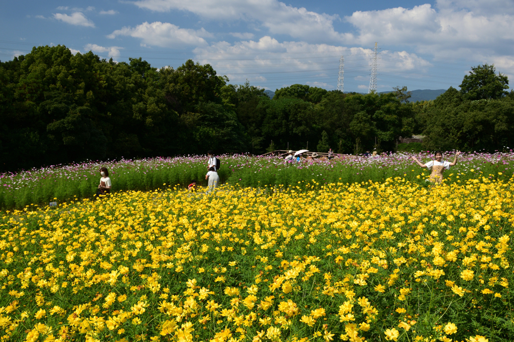 221001万博公園19
