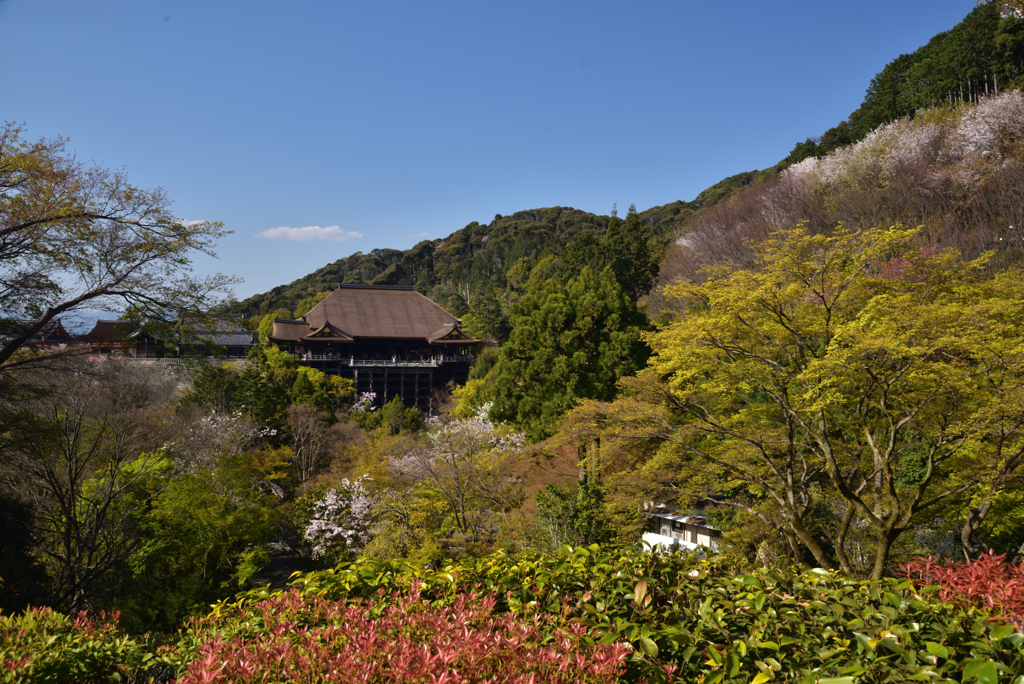 200407d清水寺50