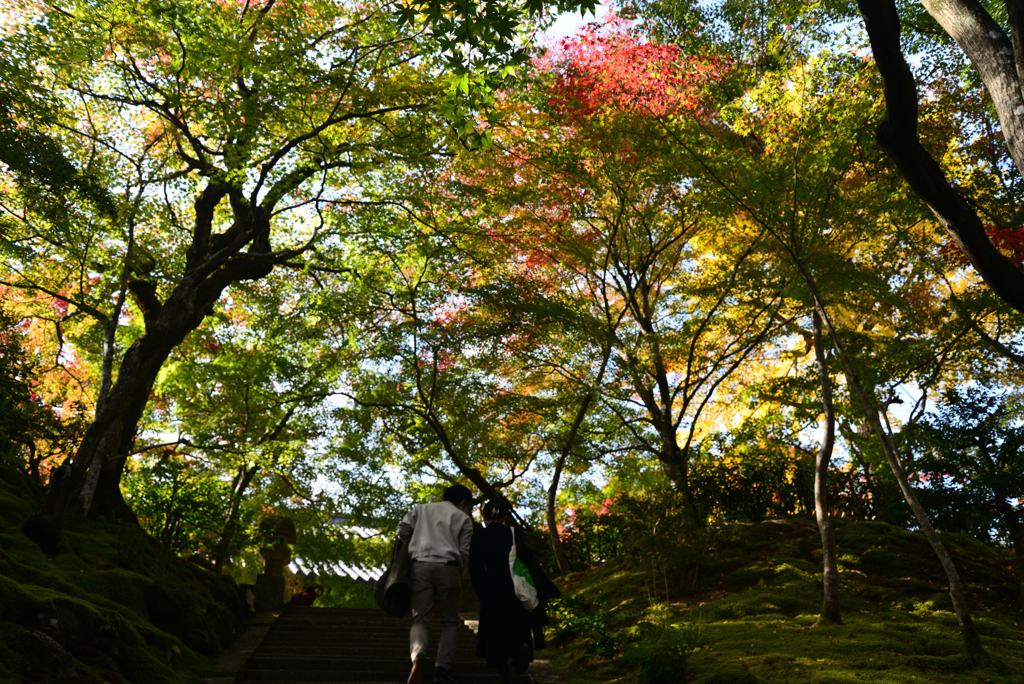 221111c常寂光寺09