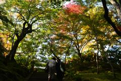221111c常寂光寺09