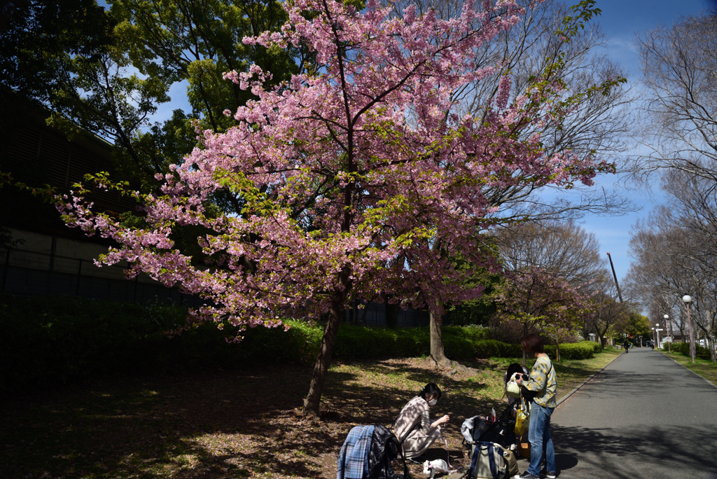 210311b鶴見緑地43