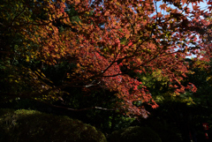 191110c今熊野観音寺13