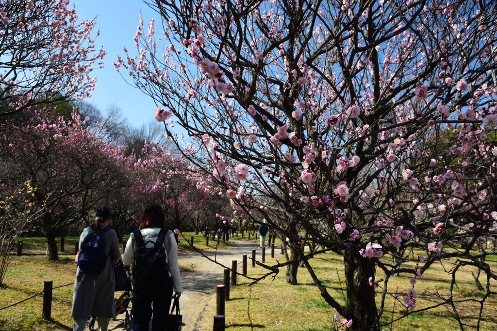 200221荒山公園04