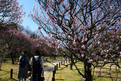 200221荒山公園04 200221荒山公園04