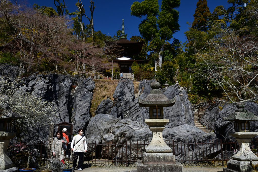 230315石山寺57