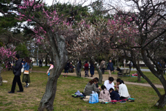 190324d京都御苑09