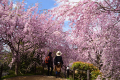 190412b大神神社26