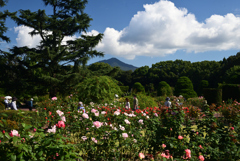221015京都植物園13