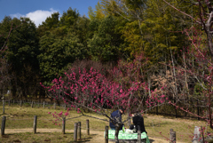 190226a馬見丘陵公園48