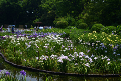 220610城北公園02