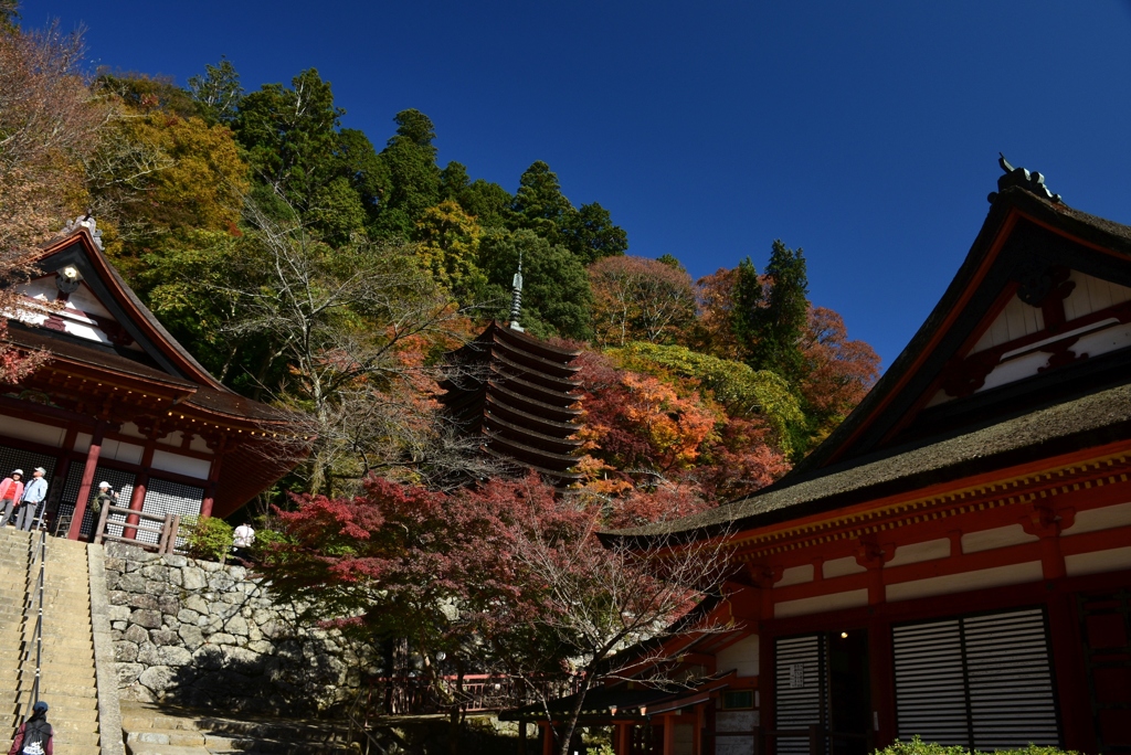 171113a談山神社12
