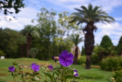 180902a長居植物園16+