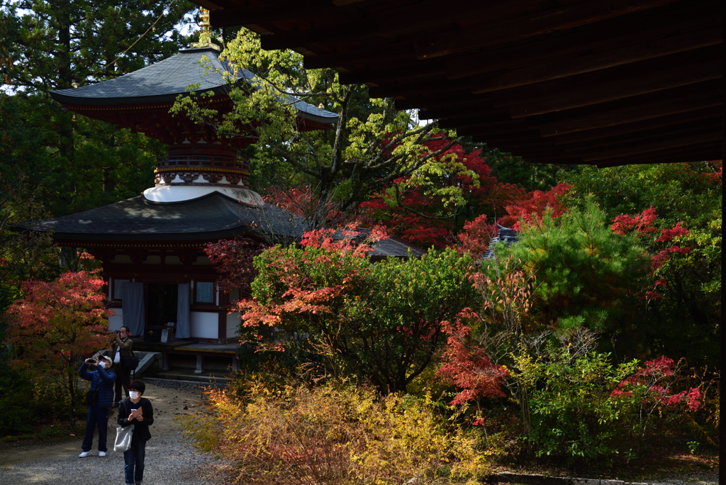 201108円成寺40