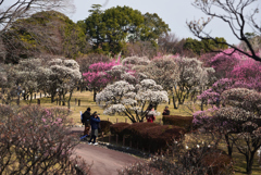 190218荒山公園28