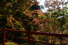 191110c今熊野観音寺01
