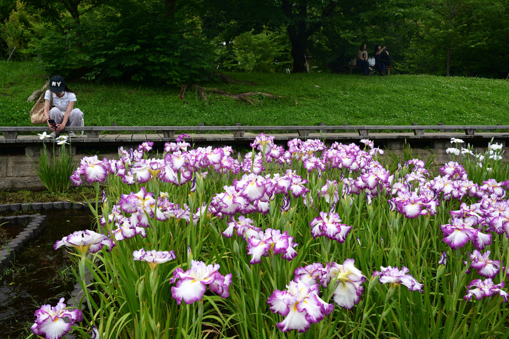 230610b長居植物園06士清